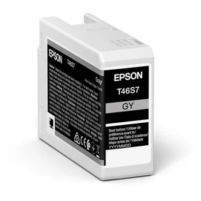 EPSON T46S7 Bläckpatron