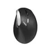 RAPOO Ergonomisk Mus EV250 2.4 GHz Trådlös Svart