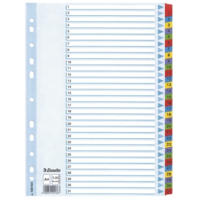 Register Mylar A4/1-31 multifärgat