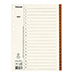 Register Servo A4/1-20 brun FSC® Mix 100%, 10st